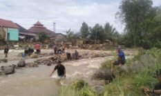 Banjir Lebong Ungkap Ancaman Kerusakan Lingkungan, Reboisasi Jadi Solusi Utama
