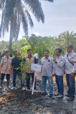 PT BIO dan PT SIL Jadi Pelopor Penghijauan Bengkulu