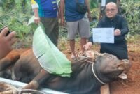 PT SIL dan PT Bio Nusantara Teknologi menggelontorkan hampir Rp800 juta untuk program kurban Idul Adha 2026 dengan menyalurkan 43 sapi dan 12 kambing kepada masyarakat desa penyangga.