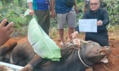 PT SIL dan PT Bio Tebar Kurban Hampir Rp800 Juta untuk Warga Desa Penyangga