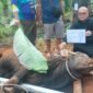 PT SIL dan PT Bio Nusantara Teknologi menggelontorkan hampir Rp800 juta untuk program kurban Idul Adha 2026 dengan menyalurkan 43 sapi dan 12 kambing kepada masyarakat desa penyangga.