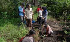 Bengkulu Terancam Kehilangan 400 Hektare Mangrove, GPA Gendong Adventure Minta Aksi Cepat