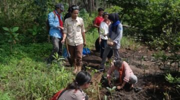 Bengkulu Terancam Kehilangan 400 Hektare Mangrove, GPA Gendong Adventure Minta Aksi Cepat