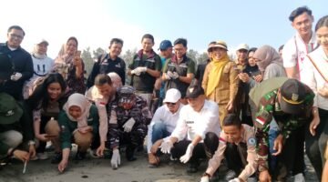 Pemkab Bengkulu Tengah melepas 100 tukik dalam peringatan Hari Mangrove Sedunia sebagai simbol komitmen menjaga keanekaragaman hayati dan ekosistem laut.