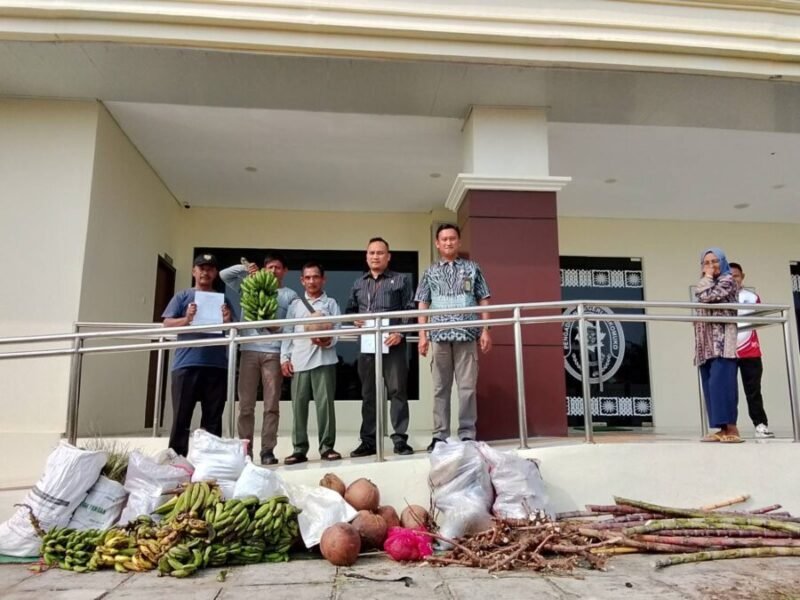 PN Mukomuko akhirnya menerima pembayaran berupa uang dan hasil bumi yang dikumpulkan secara tanggung renteng untuk Harapandi, Ibnu Amin, dan Rasuli. Pembayaran selanjutnya akan ditawarkan kepada PT DDP sebagai pemohon eksekusi.